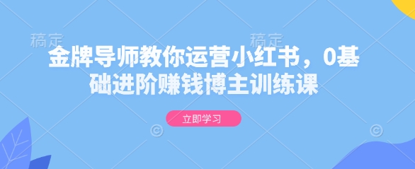 金牌导师教你运营小红书，0基础进阶赚钱博主训练课-苍穹网创