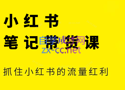 张宾·小红书笔记带货课(更新24年7月)-苍穹网创