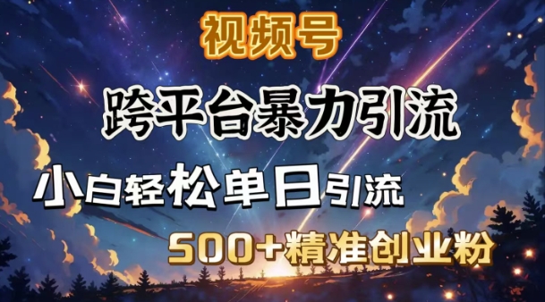 跨平台暴力引流，私域完美闭环，日引500+精准创业粉-苍穹网创