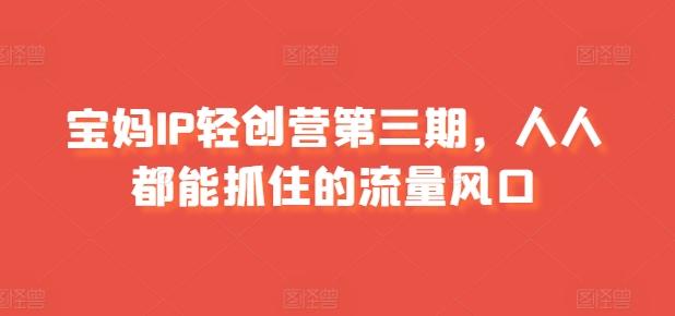 宝妈IP轻创营第三期，人人都能抓住的流量风口-苍穹网创