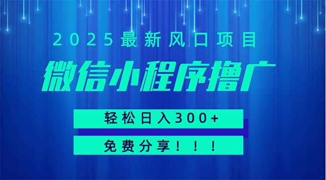 微信小程序撸广，最新风口项目，日入300+ 免费分享 可批量操作 小白可…-苍穹网创