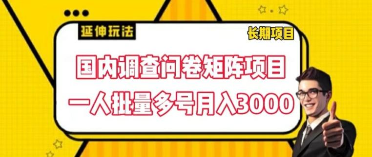国内调查问卷矩阵项目，一人批量多号月入3000【揭秘】-苍穹网创