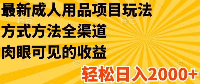 最新成人用品项目玩法，方式方法全渠道，轻松日入2K+【揭秘】-苍穹网创