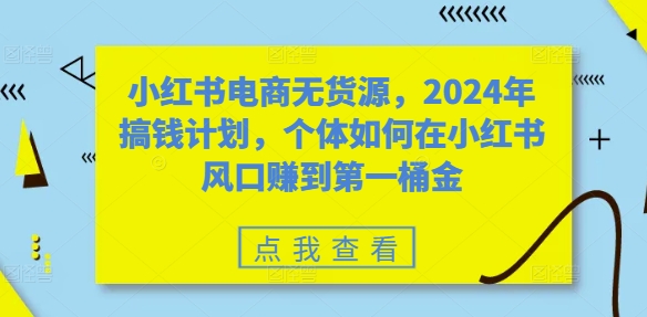 小红书电商无货源，2024年搞钱计划，个体如何在小红书风口赚到第一桶金-苍穹网创