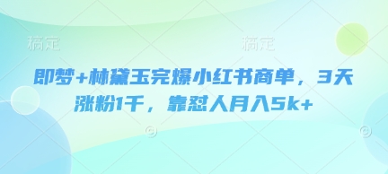 即梦+林黛玉完爆小红书商单，3天涨粉1千，靠怼人月入5k+-苍穹网创