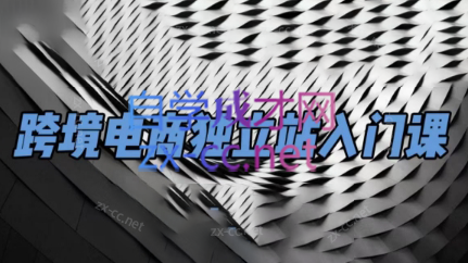 团长·跨境电商独立站入门课(2小时精华)-苍穹网创
