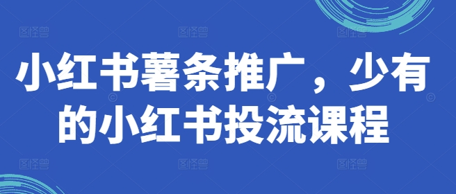 小红书薯条推广，少有的小红书投流课程-苍穹网创