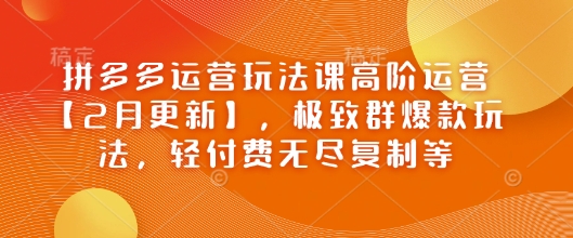 拼多多运营玩法课高阶运营【2月更新】，极致群爆款玩法，轻付费无尽复制等-苍穹网创