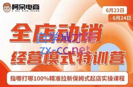 阿呆电商·全店动销经营模式特训营(线下录音+思维导图)-苍穹网创