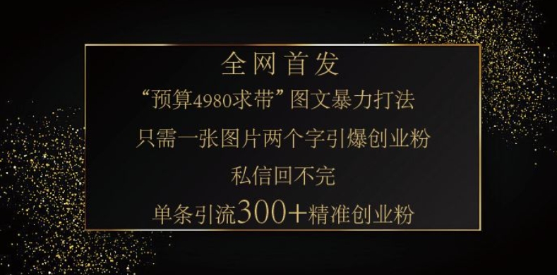 小红书神奇图片引流法，只需一张图，就能单条笔记凭借此方法，轻松引流 300 + 精准创业粉-苍穹网创