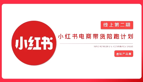 2025小红书虚拟电商实战课-苍穹网创