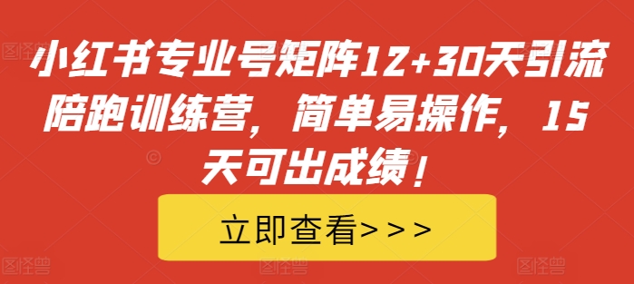 小红书专业号矩阵12+30天引流陪跑训练营，简单易操作，15天可出成绩!-苍穹网创