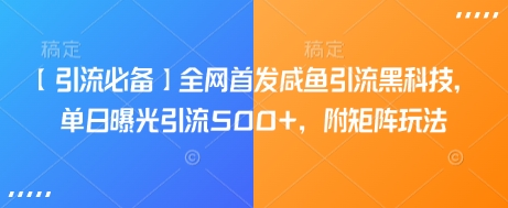 【引流必备】全网首发咸鱼引流黑科技，单日曝光引流500+，附矩阵玩法【揭秘】-苍穹网创
