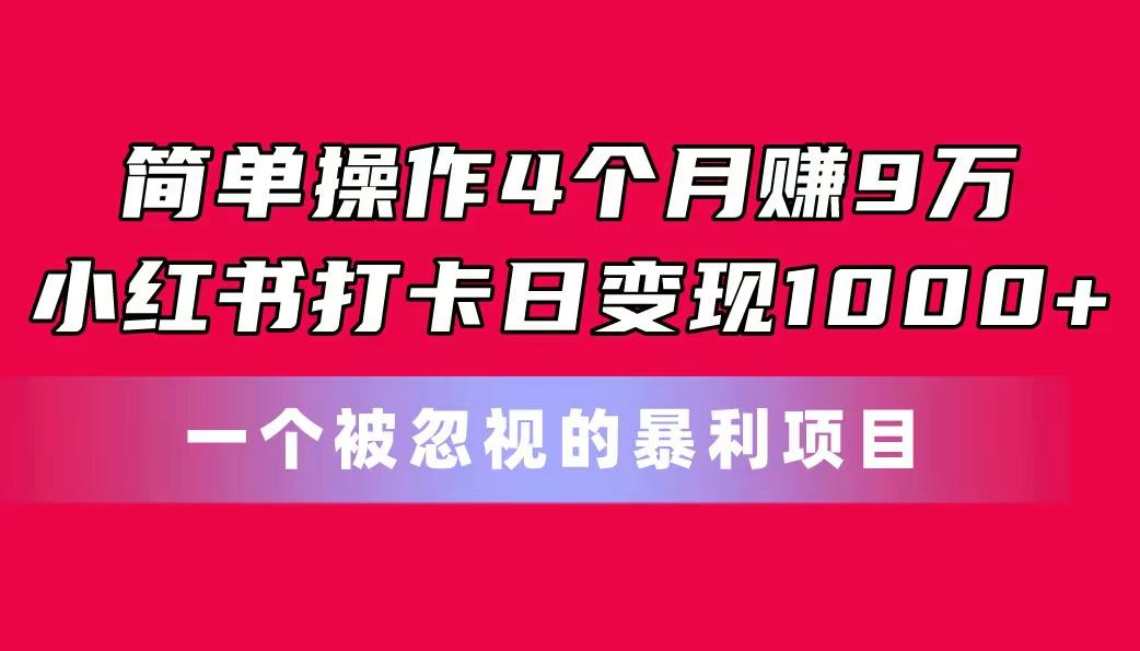 简单操作4个月赚9万！小红书打卡日变现1000+！一个被忽视的暴力项目-苍穹网创