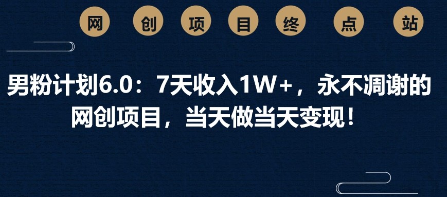 男粉计划6.0：7天收入1W+，永不凋谢的网创项目，当天做当天变现！-苍穹网创