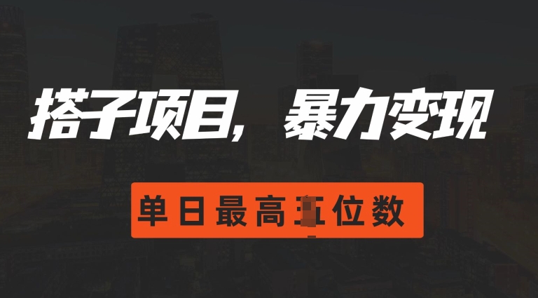 2024搭子玩法，0门槛，暴力变现，单日最高破四位数【揭秘】-苍穹网创