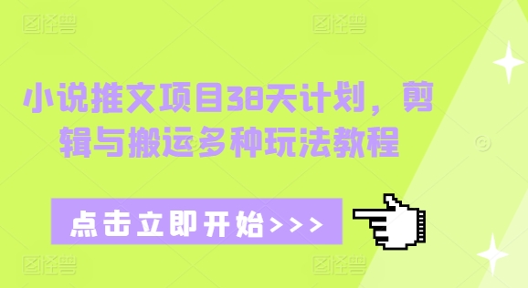 小说推文项目38天计划，剪辑与搬运多种玩法教程-苍穹网创