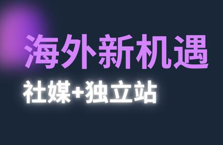 棕榈·2025出海新机遇(社媒+独立站)-苍穹网创