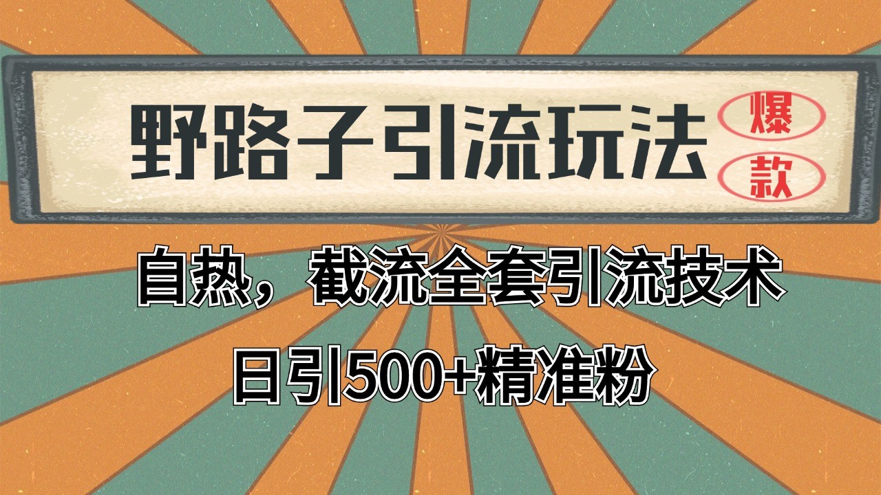 抖音小红书视频号全平台引流打法，全自动引流日引2000+精准客户-苍穹网创