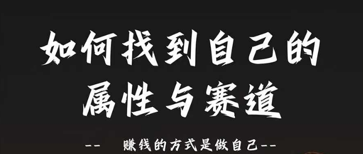 赛道和属性2.0：如何找到自己的属性与赛道，赚钱的方式是做自己-苍穹网创