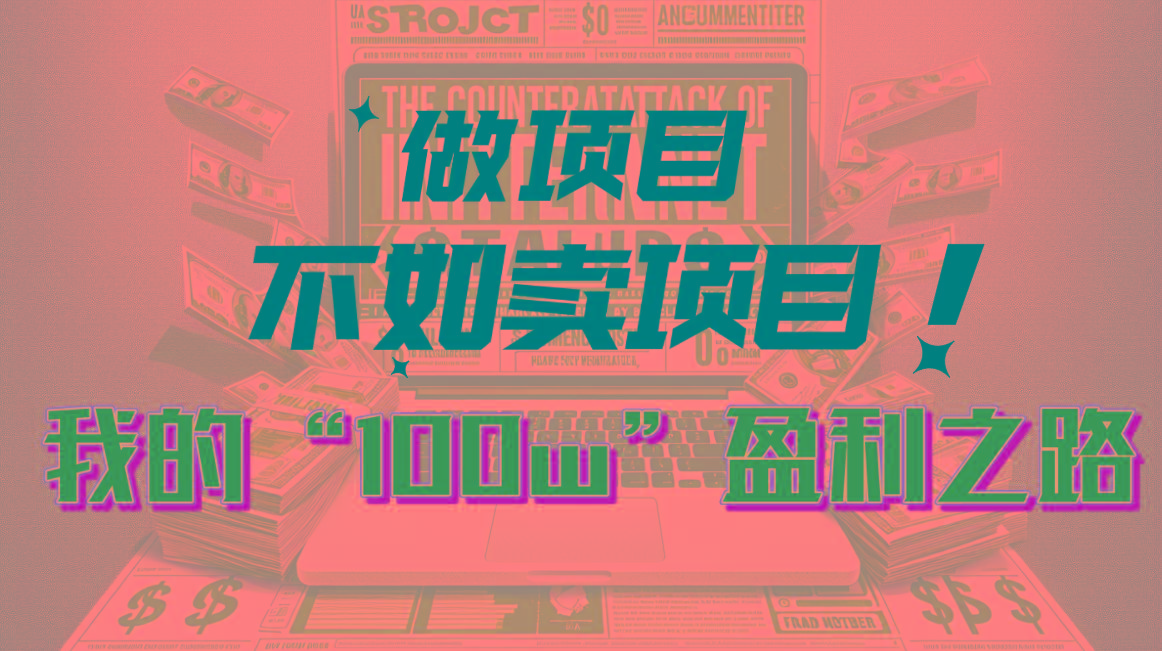 为什么做项目不如卖项目？我的100W+盈利之路-苍穹网创