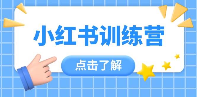 小红书训练营，助小白入门，掌握技巧变达人，课程实操又全面(12节课)-苍穹网创