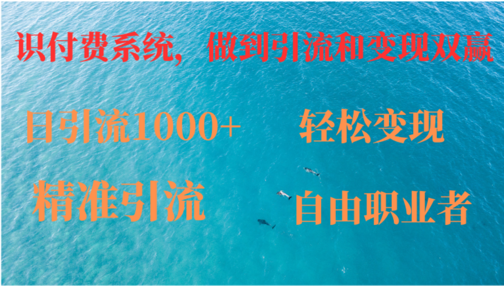 如何搭建自己的知识付费系统，做到引流和变现双赢-苍穹网创