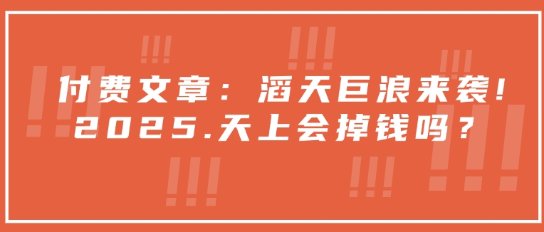 付费文章：滔天巨浪来袭！2025天上会掉钱吗？-苍穹网创