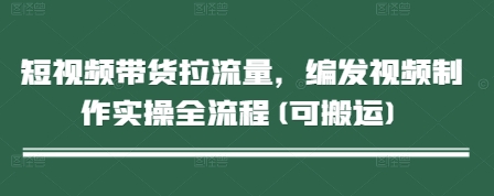 短视频带货拉流量，编发视频制作实操全流程(可搬运)-苍穹网创