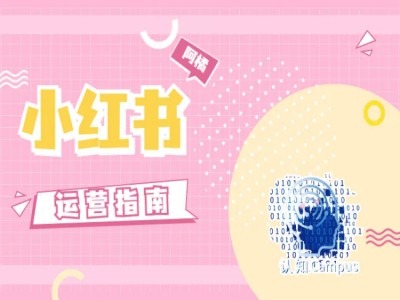 小红书运营指南，没有套路，全是经验-苍穹网创