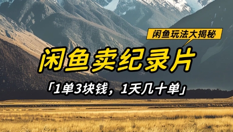 闲鱼卖纪录片1单3块钱，1天几十单，项目稳定有潜力-苍穹网创