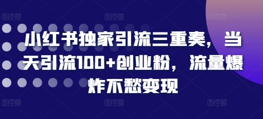 小红书独家引流三重奏，当天引流100+创业粉，流量爆炸不愁变现【揭秘】-苍穹网创