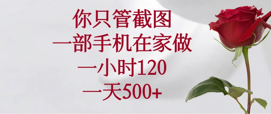 你只管截图，一部手机在家做，一小时120，一天500+-苍穹网创