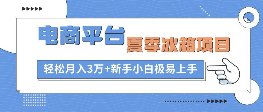 电商平台夏季冰箱项目，轻松月入3万+，新手小白极易上手-苍穹网创