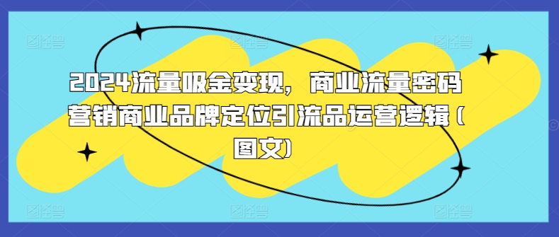 2024流量吸金变现，商业流量密码营销商业品牌定位引流品运营逻辑(图文)-苍穹网创