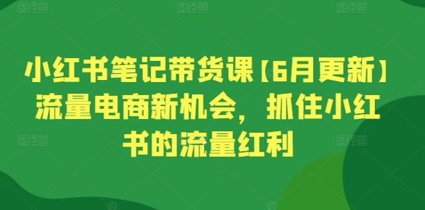 小红书笔记带货课【6月更新】流量电商新机会，抓住小红书的流量红利-苍穹网创
