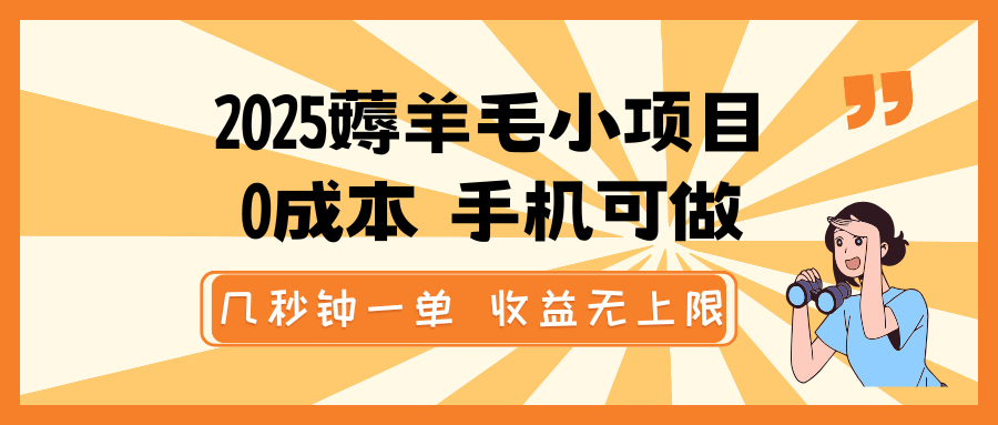 2025薅羊毛小项目，0成本 手机可做，几秒钟一单，收益无上限-苍穹网创
