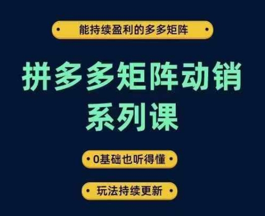 拼多多矩阵动销系列课，能持续盈利的多多矩阵，0基础也听得懂，玩法持续更新-苍穹网创