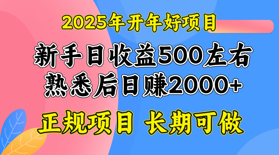 2025开年好项目，单号日收益2000左右-苍穹网创