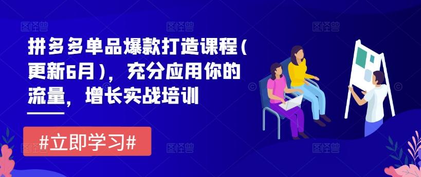 拼多多单品爆款打造课程(更新6月)，充分应用你的流量，增长实战培训-苍穹网创