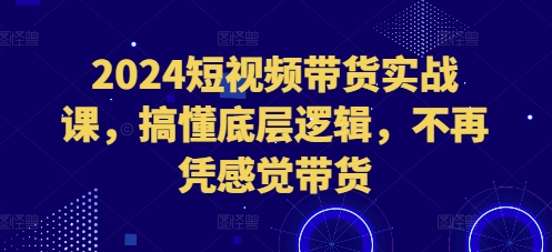 2024短视频带货实战课，搞懂底层逻辑，不再凭感觉带货-苍穹网创