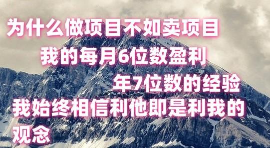 做项目不如卖项目，每月6位数盈利，年7位数经验-苍穹网创