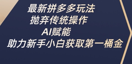 最新拼多多玩法，抛弃传统操作，AI赋能，助力新手小白获取第一桶金-苍穹网创