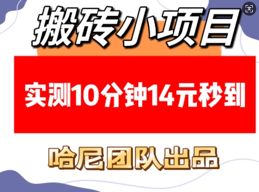 搬砖小项目，实测10分钟14元秒到，每天稳定几张(赠送必看稳定)-苍穹网创