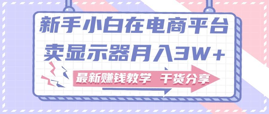 新手小白如何做到在电商平台卖显示器月入3W+，最新赚钱教学干货分享-苍穹网创