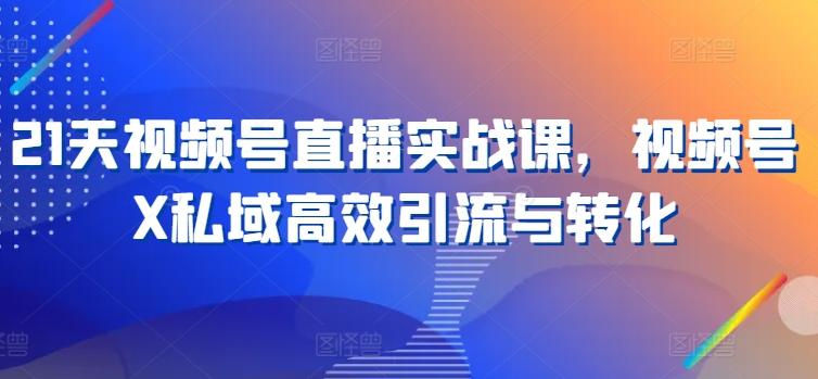 21天视频号直播实战课，视频号X私域高效引流与转化-苍穹网创