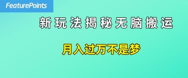 简单操作，每天50美元收入，搬运就是赚钱的秘诀【揭秘】-苍穹网创