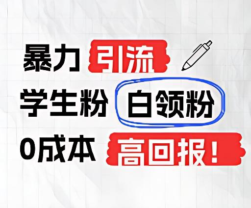 暴力引流学生粉白领粉，吊打以往垃圾玩法，0成本，高回报-苍穹网创