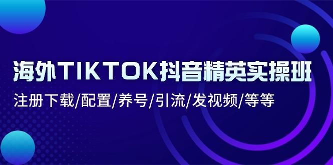 海外TIKTOK抖音精英实操班：注册下载/配置/养号/引流/发视频/等等-苍穹网创