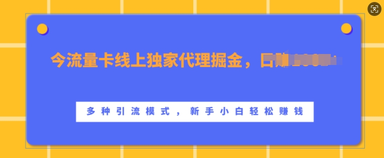 流量卡线上独家代理掘金，日入1k+ ，多种引流模式，新手小白轻松上手【揭秘】-苍穹网创